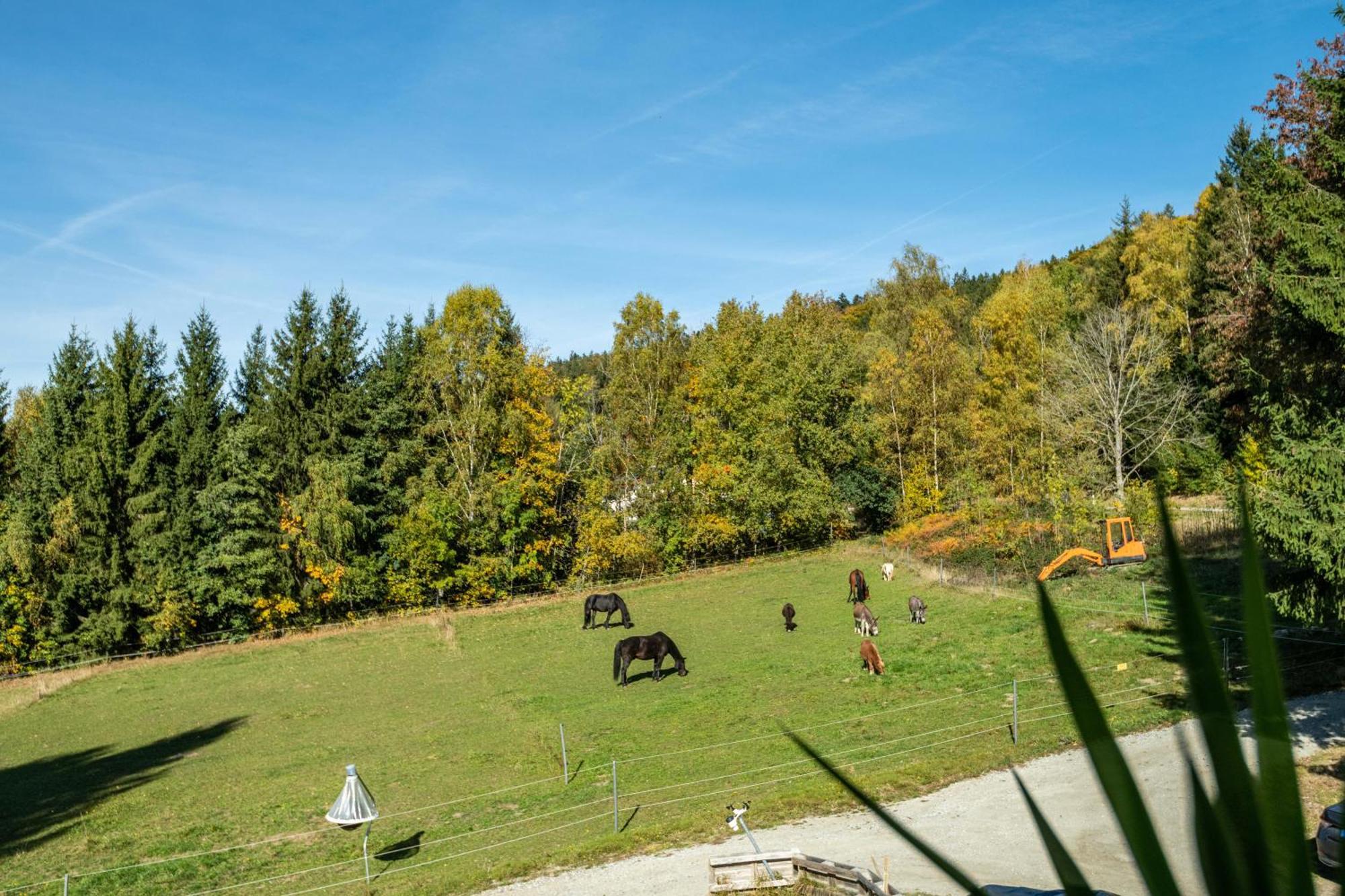 Fuchswiese Thurmansbang Экстерьер фото